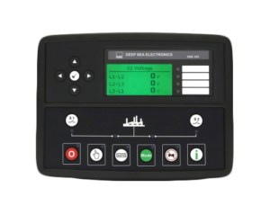 DSE335