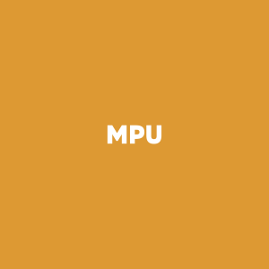 MPU - Magnetic Pickup