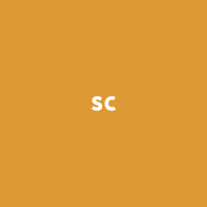 SC - Speed Control
